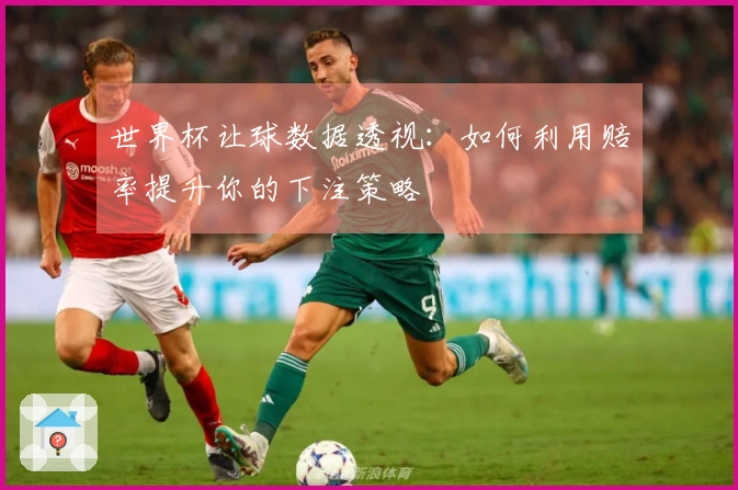 世界杯让球数据透视：如何利用赔率提升你的下注策略